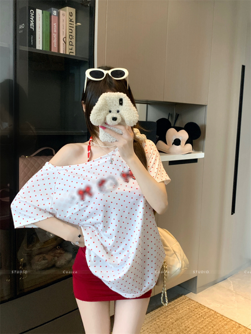 Women’s Polka Dot Short Sleeve T-Shirt Summer Embroidered Top